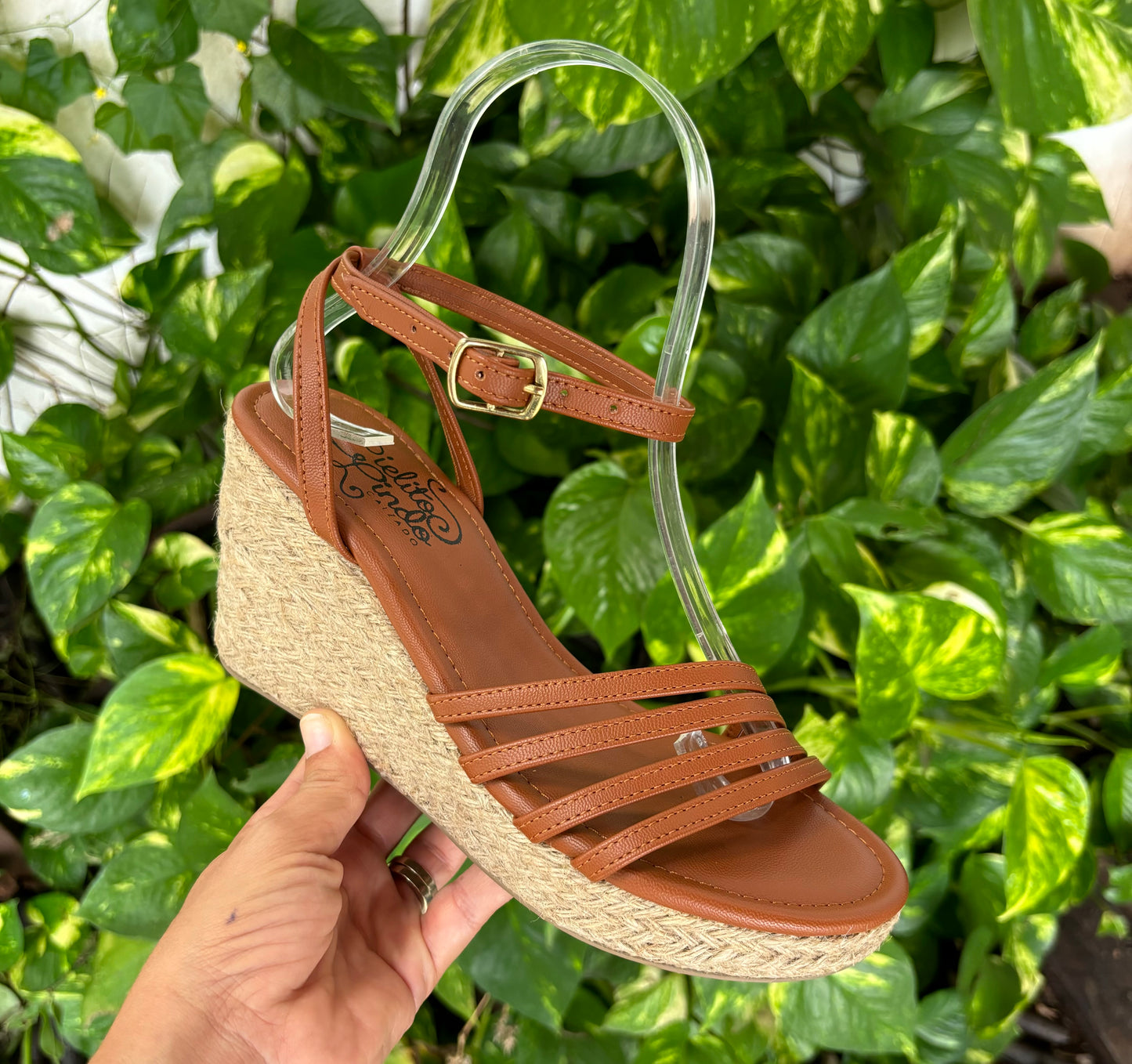 Plataforma Sara Camel